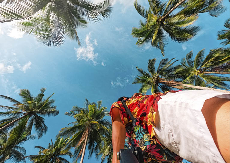 Coconut trees on the beach on a tropical island